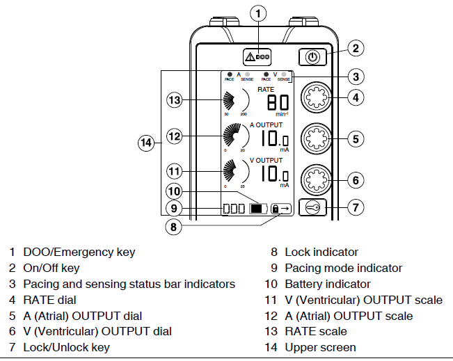 Upper Display Screen