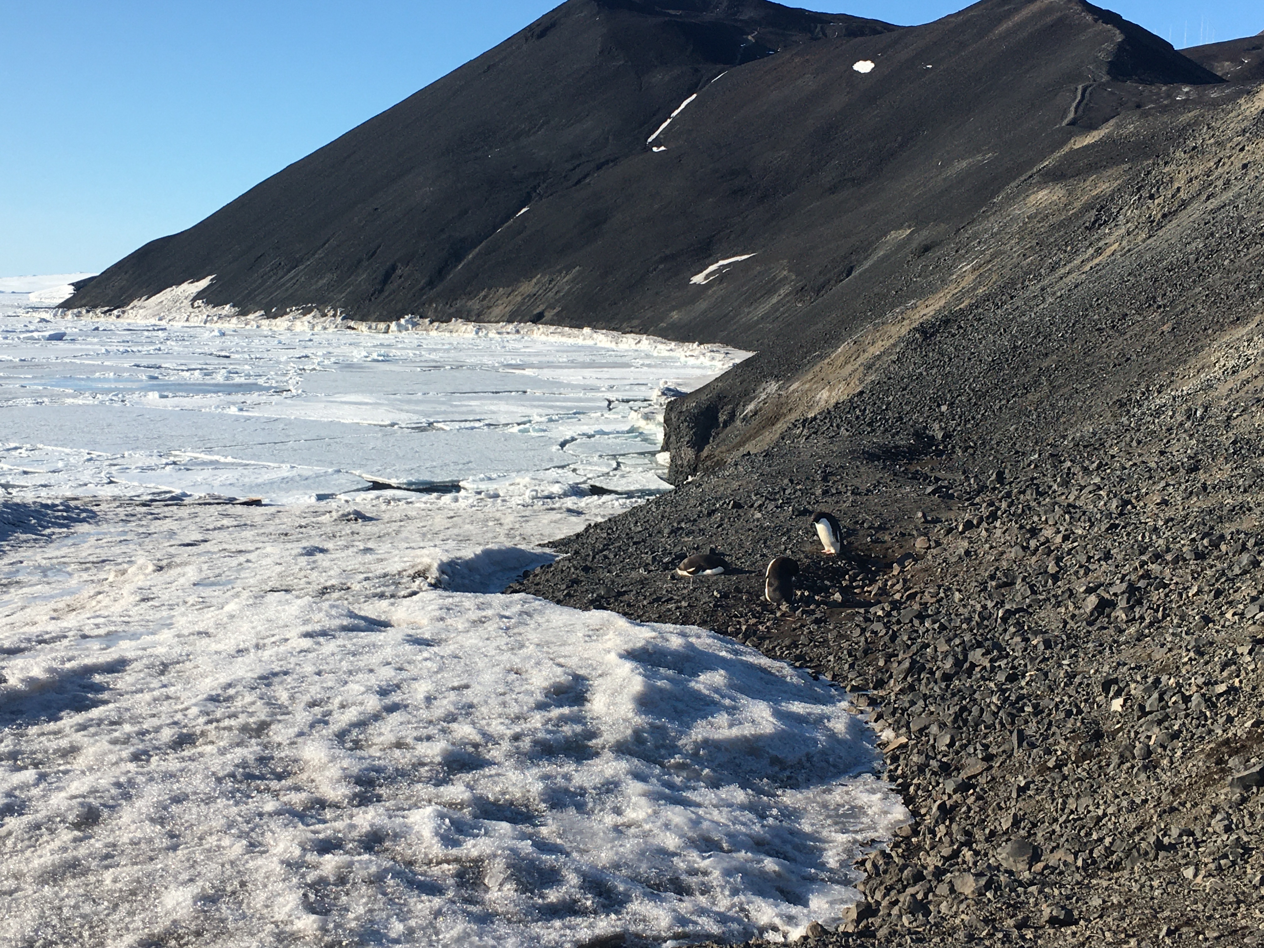 Antarctica Seas Edge