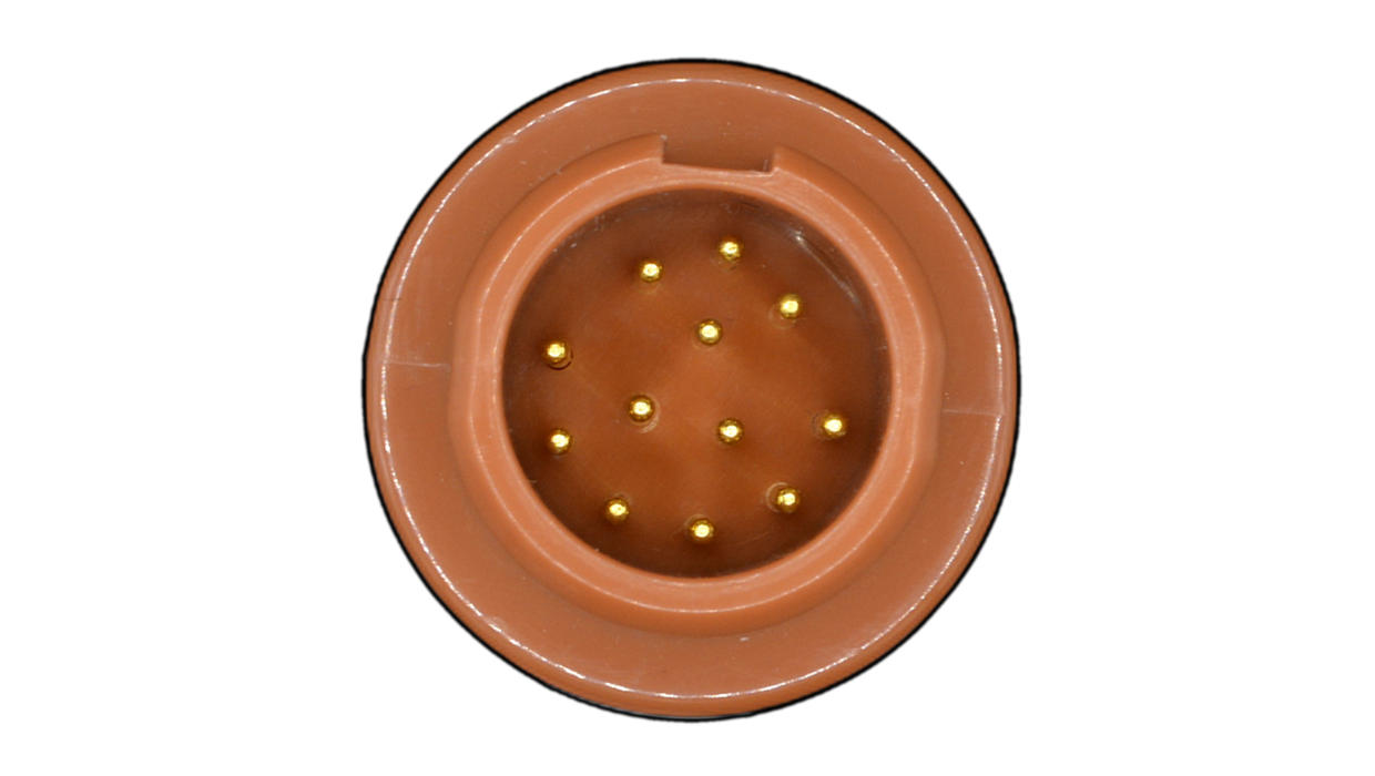 Copper colored plastic with 12 pins
