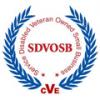 Service disabled veteran owned small business logo