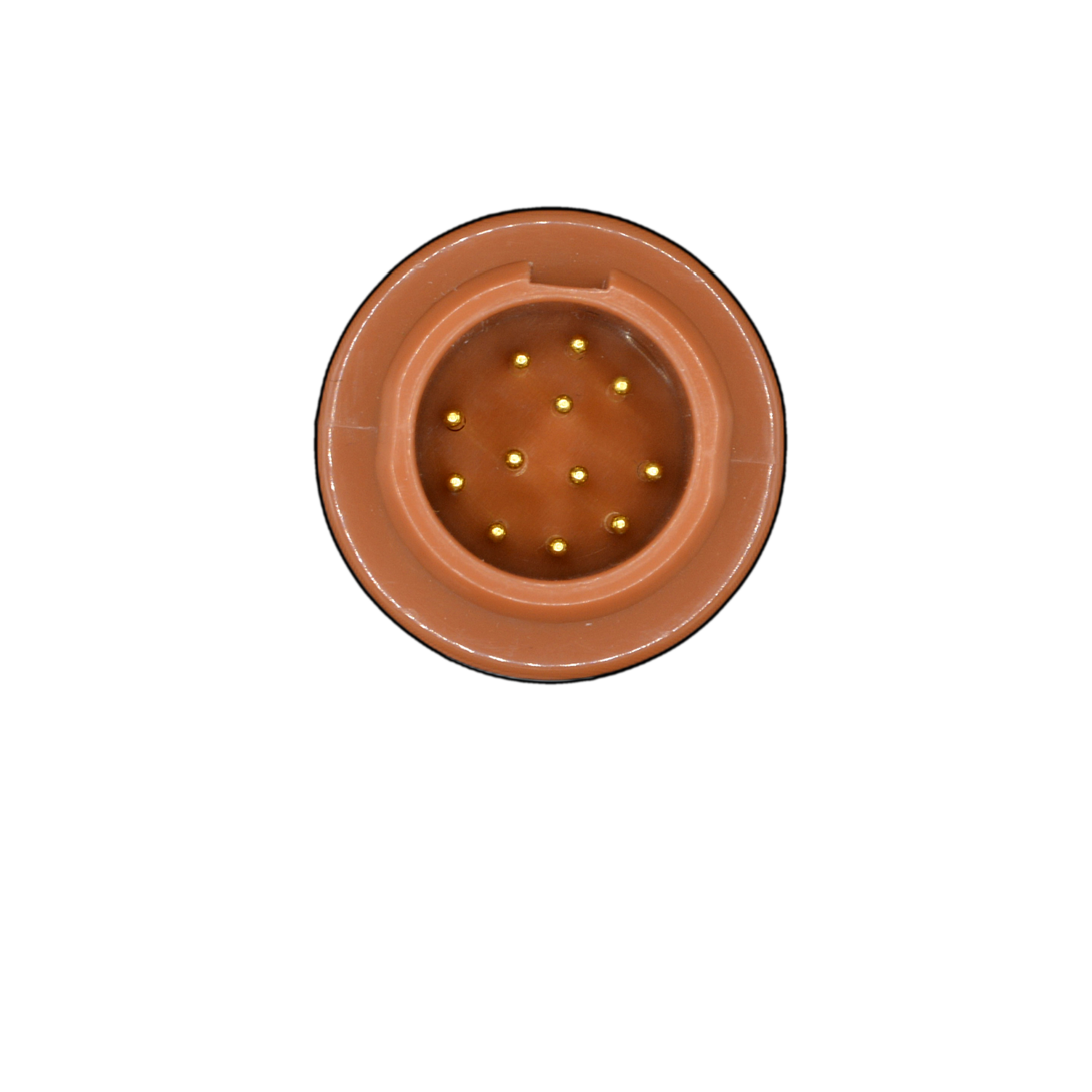 Copper colored plastic with 12 pins