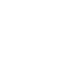 Government Building Icon